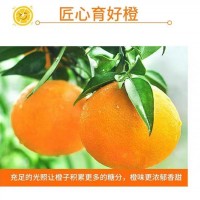 贛南臍橙新鮮橙子現(xiàn)摘現(xiàn)發(fā)產(chǎn)地直發(fā)江西贛南甜橙純甜爆汁